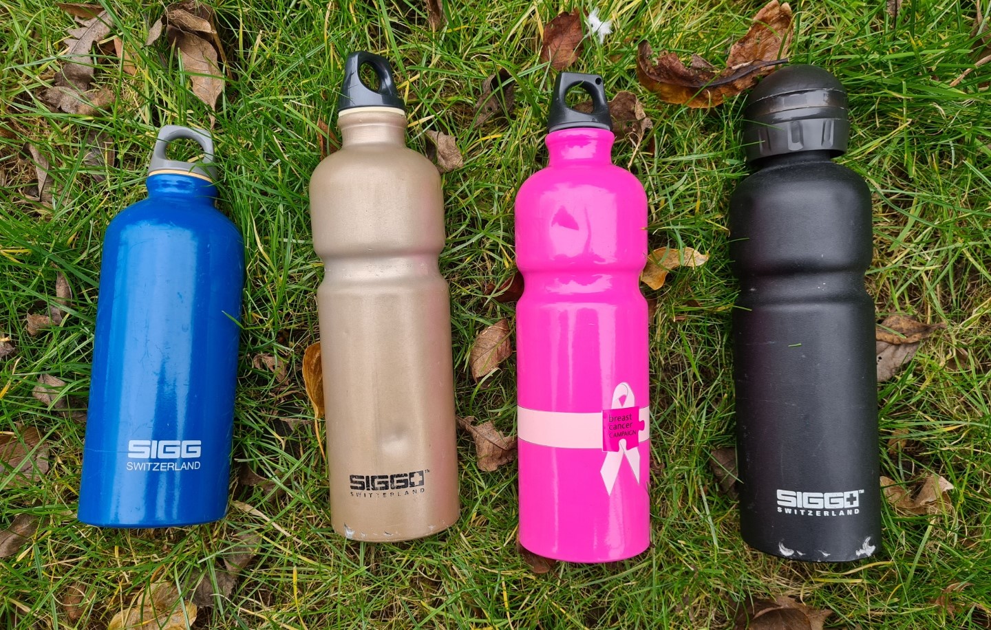 SIGG Traveller bottles