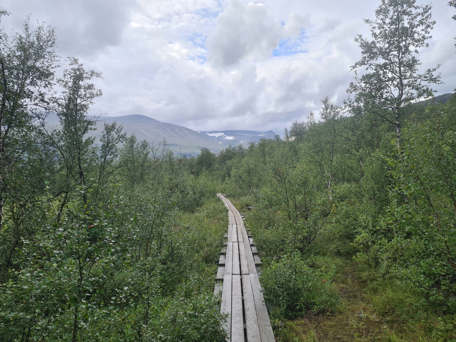 Boardwalk on day one, soon after leaving Láddjujávri