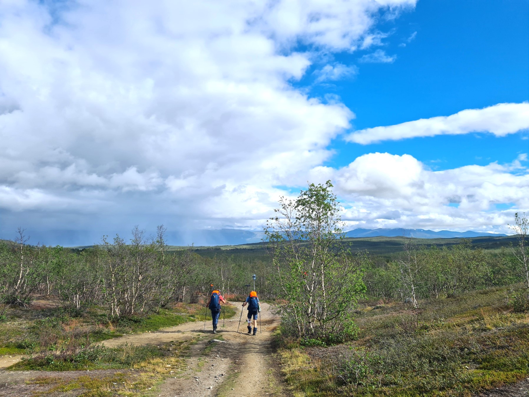 I found the last few kilometres amongst the easiest of walking for the whole length of trail