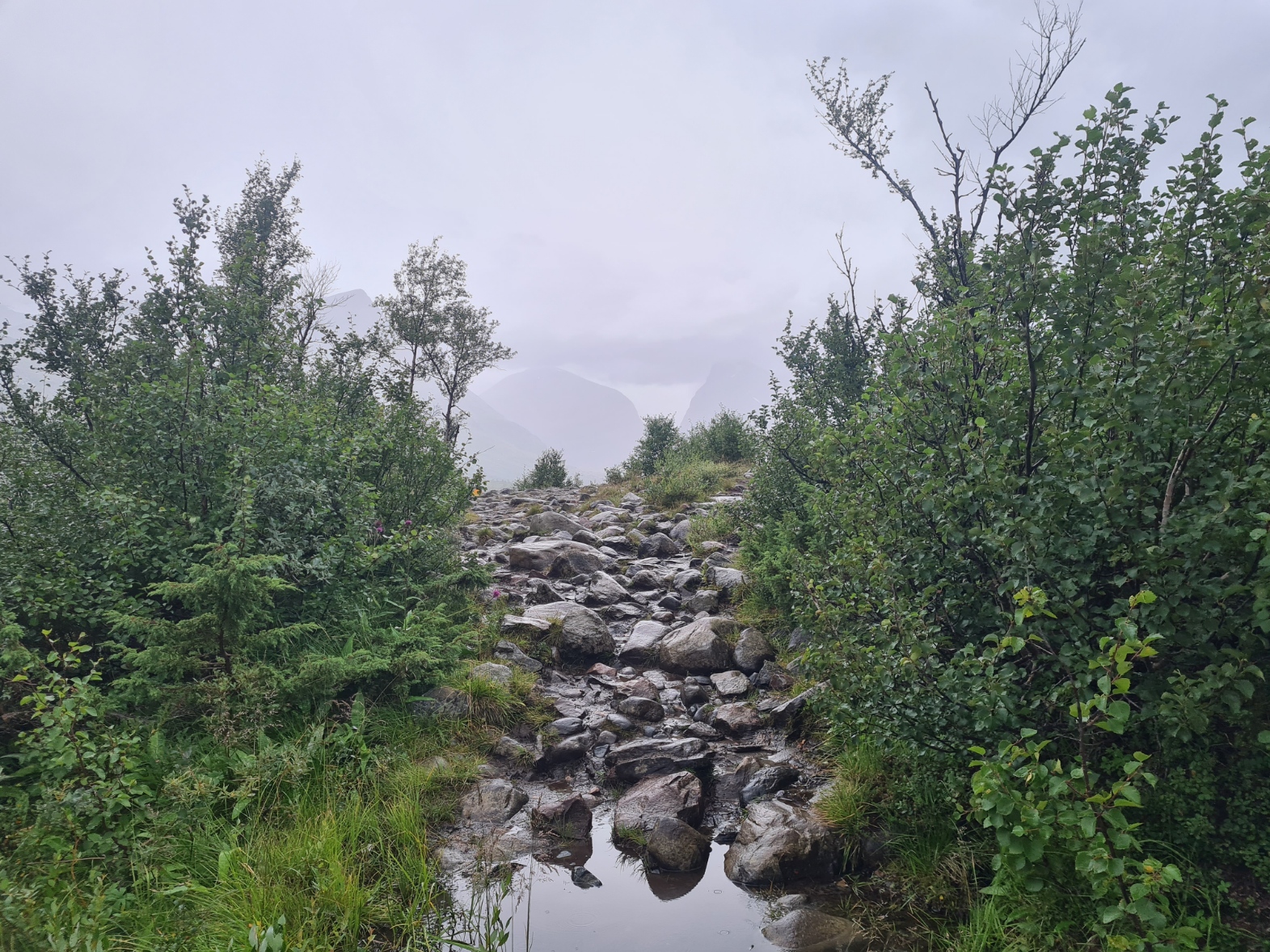 The trail progessively became rockier and muddier on this damp day. Ahead, the hills were cloaked by mist and cloud