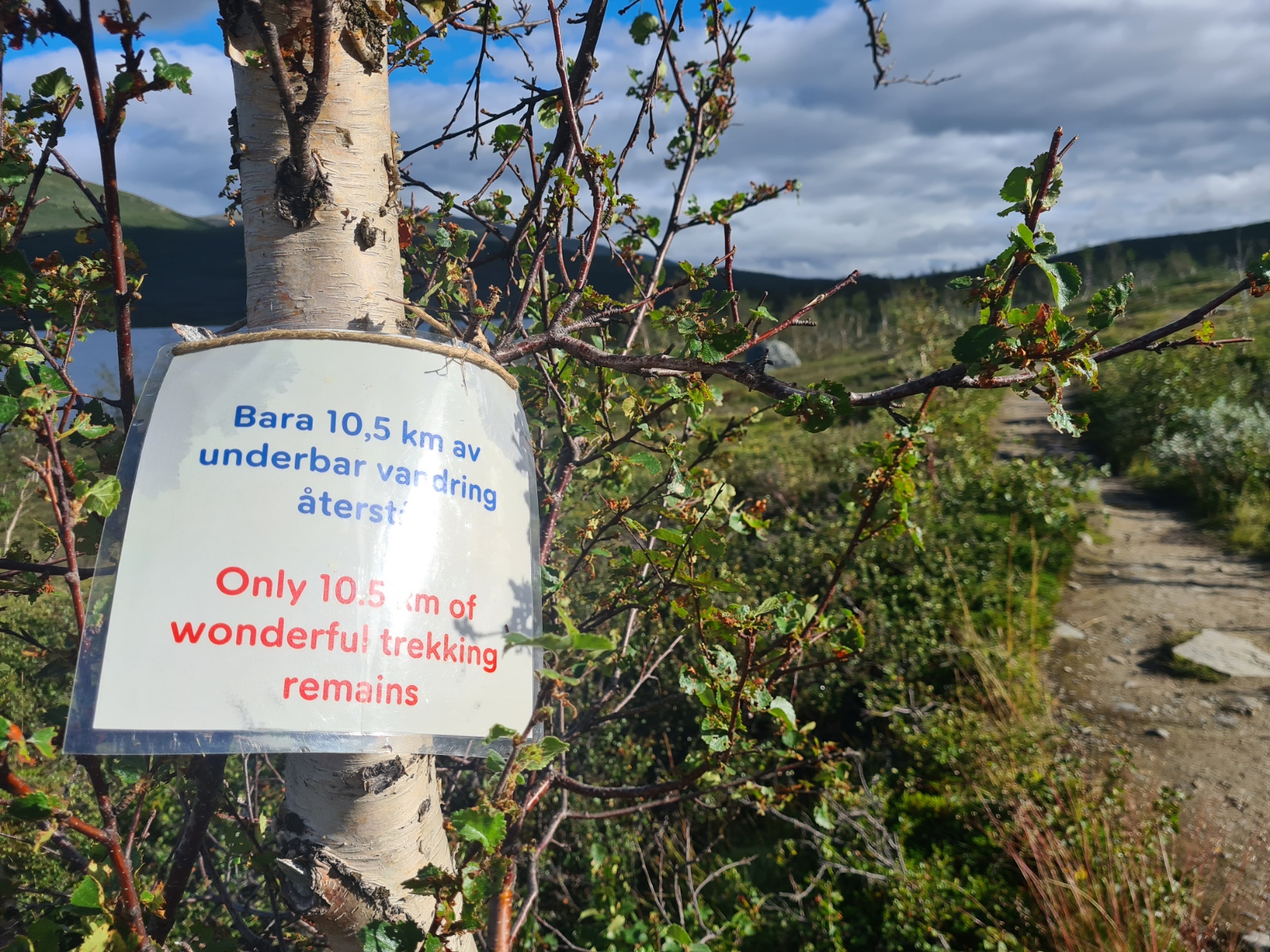 Final day, the approach to Abisko