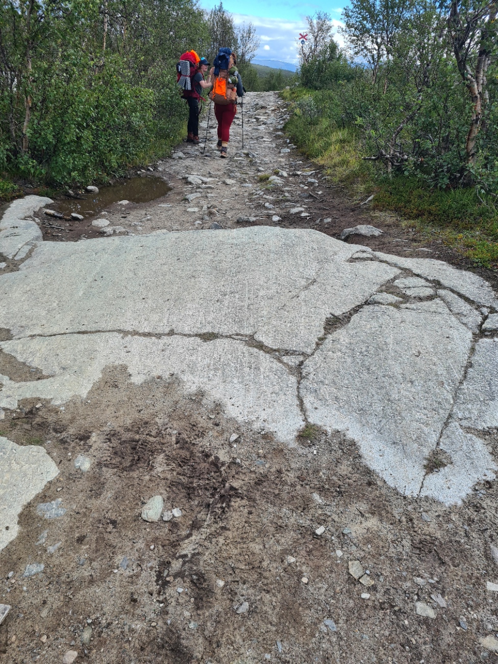 Scored bedrock from where glacial dragged rocks over the surface