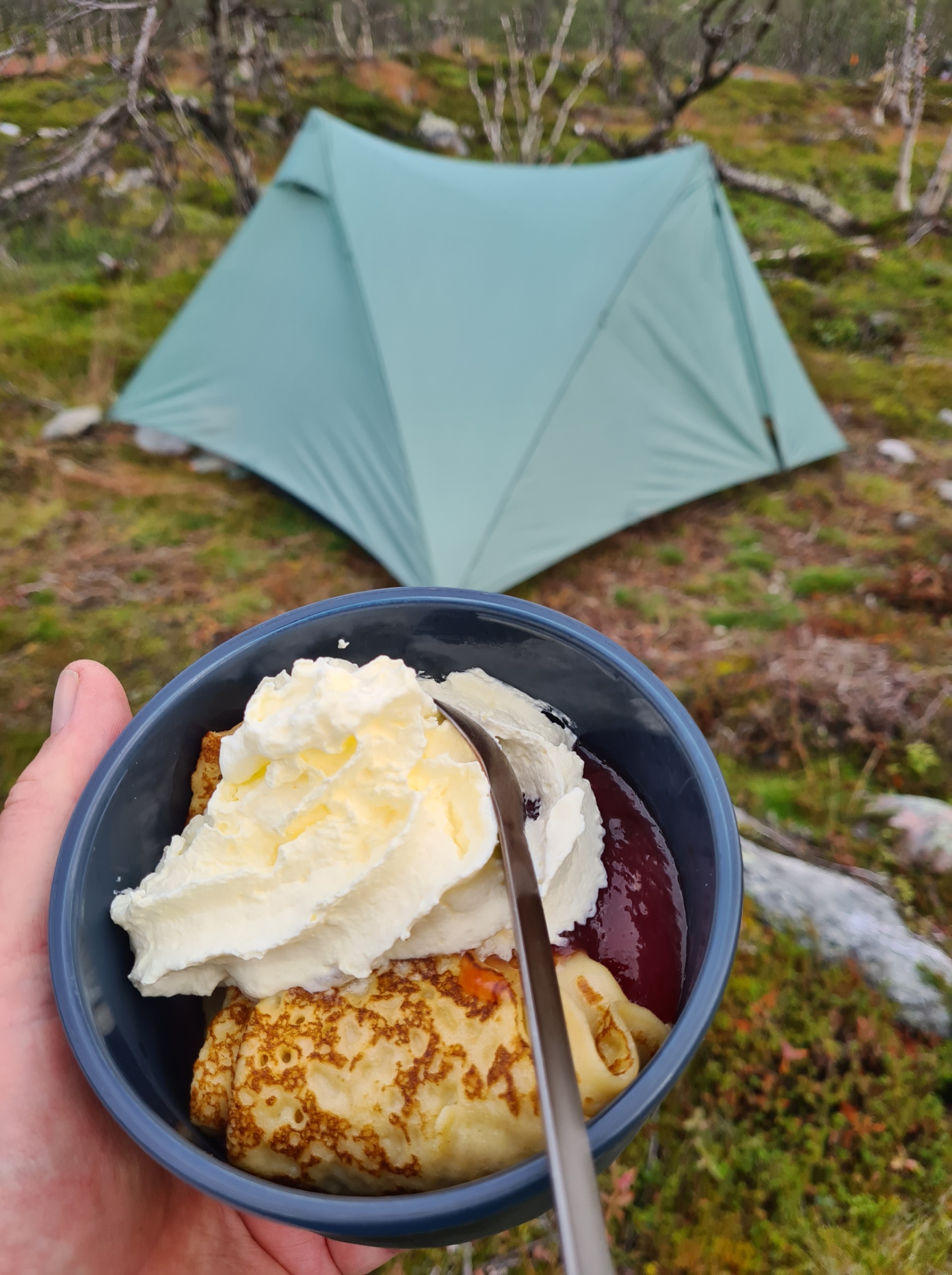 I was offered one, two or three, with lingonberry and cream. I think I showed remarkable restraint with two