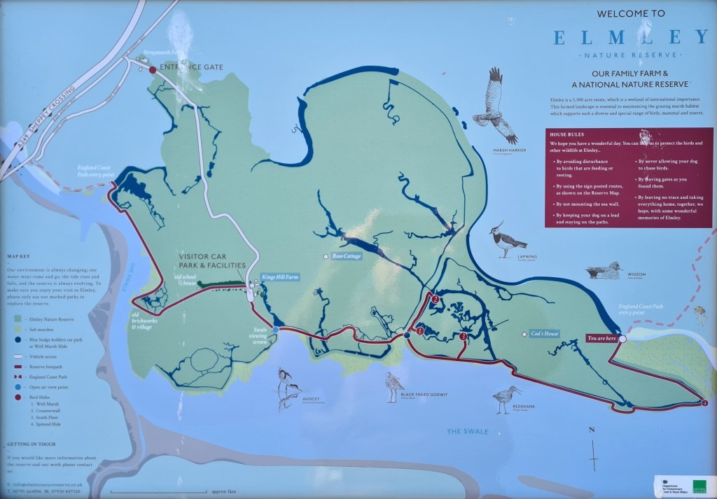 England Coast Path: Isle of Sheppey- day one