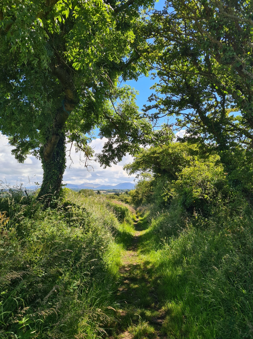 After Sandwith, it is into the countryside