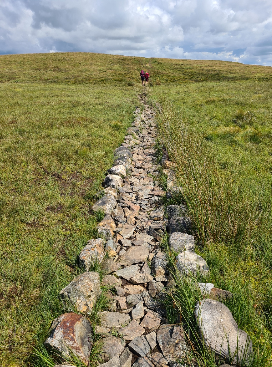 A choice of walking- boggy ground or ankle twisting rocks
