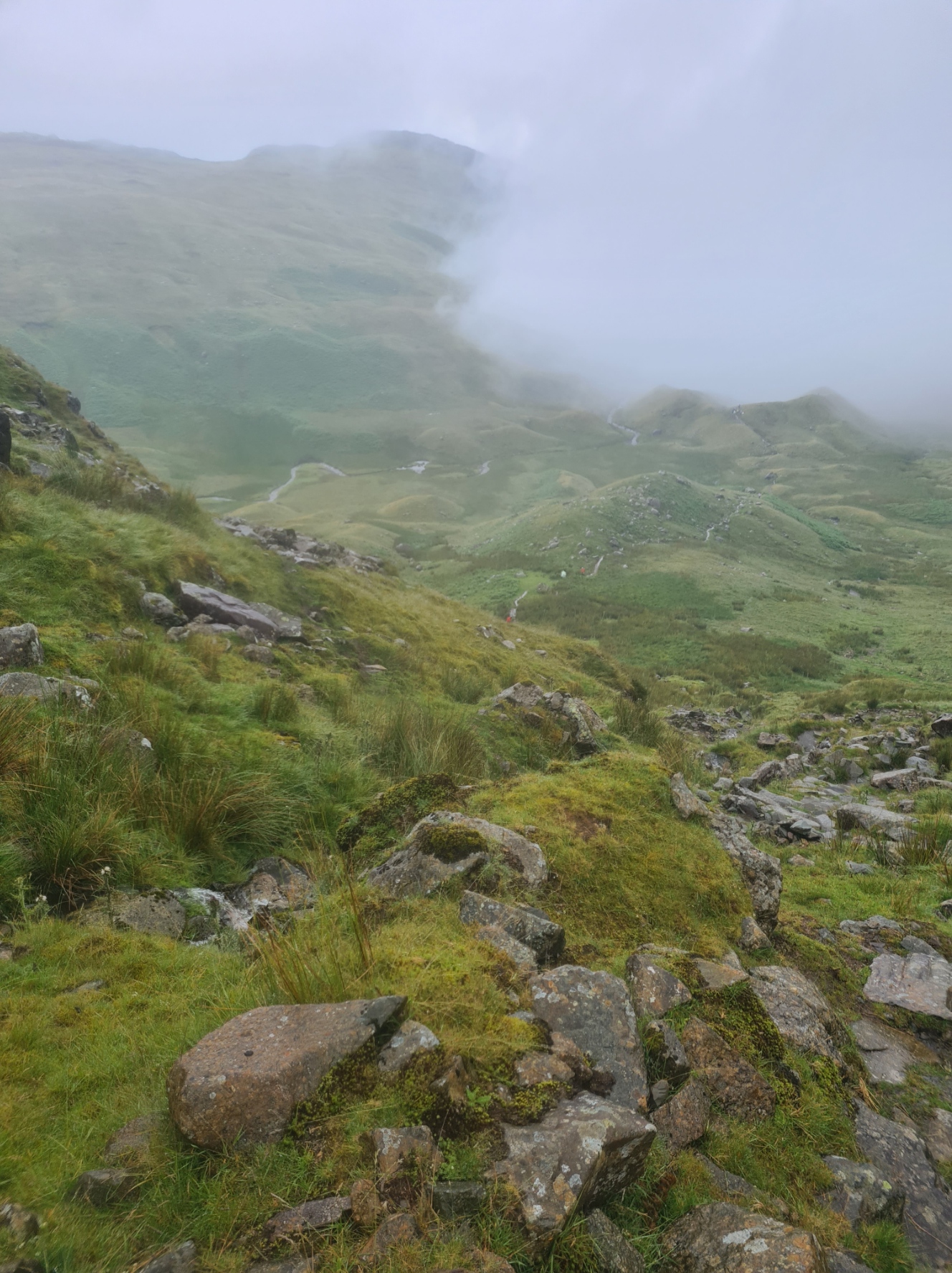 The route up Brownring Moss