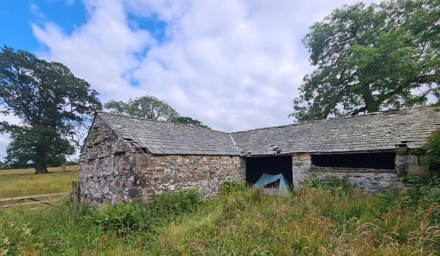 Wildcamp on day five