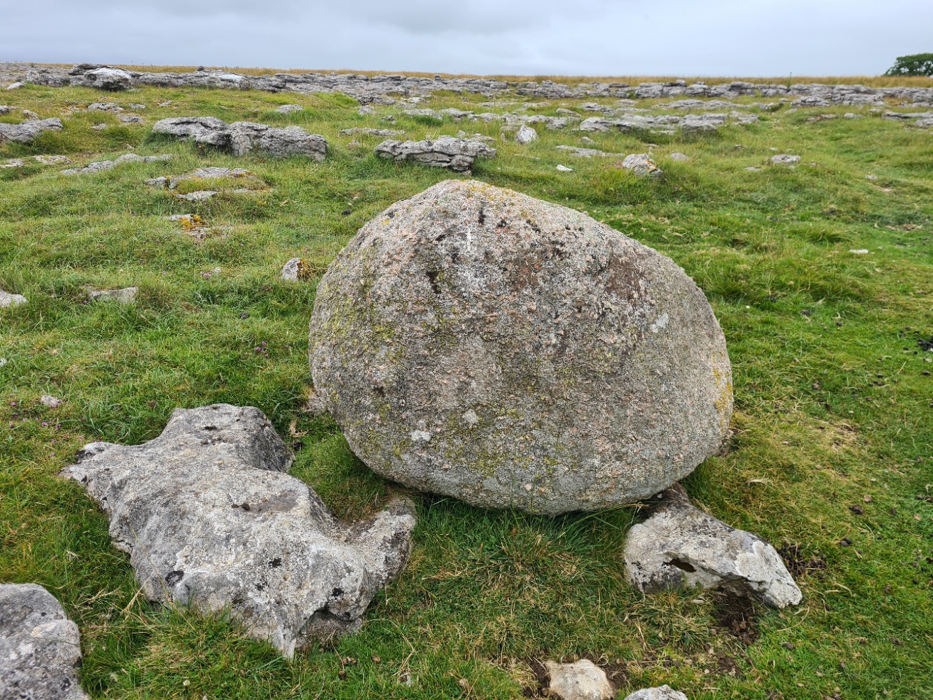 Glacial erratic. Granite sits atop limestone