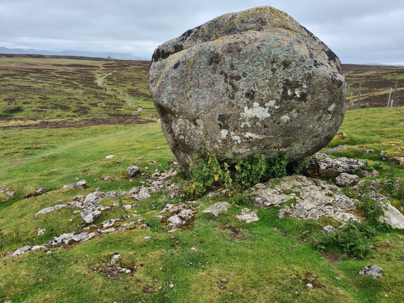 Glacial erratic. Granite sits atop limestone