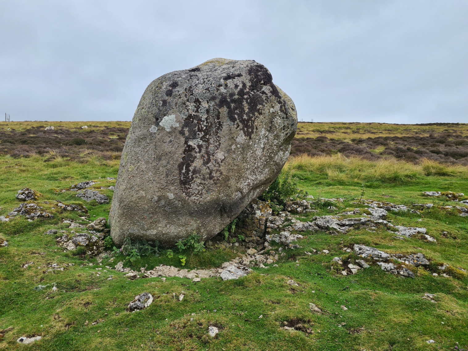 Glacial erratic. Granite sits atop limestone