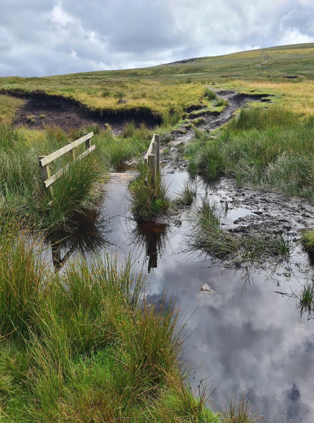 Encountering boggier ground before I even get to the top