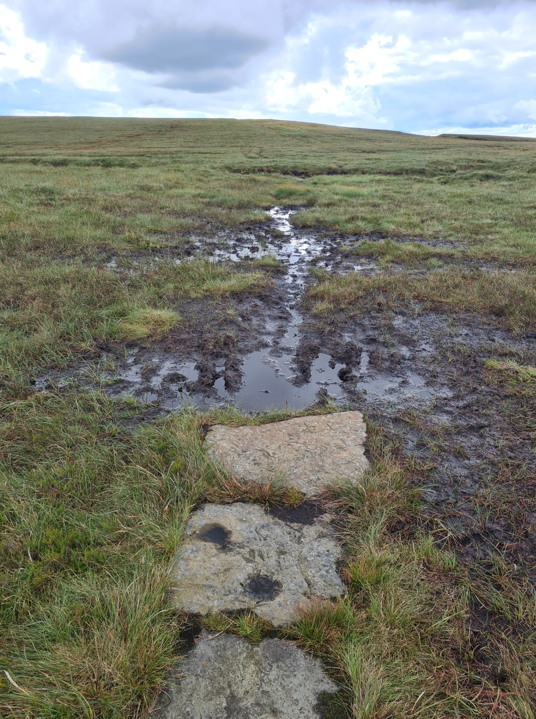 When the slabs run out, the peat bogs begin