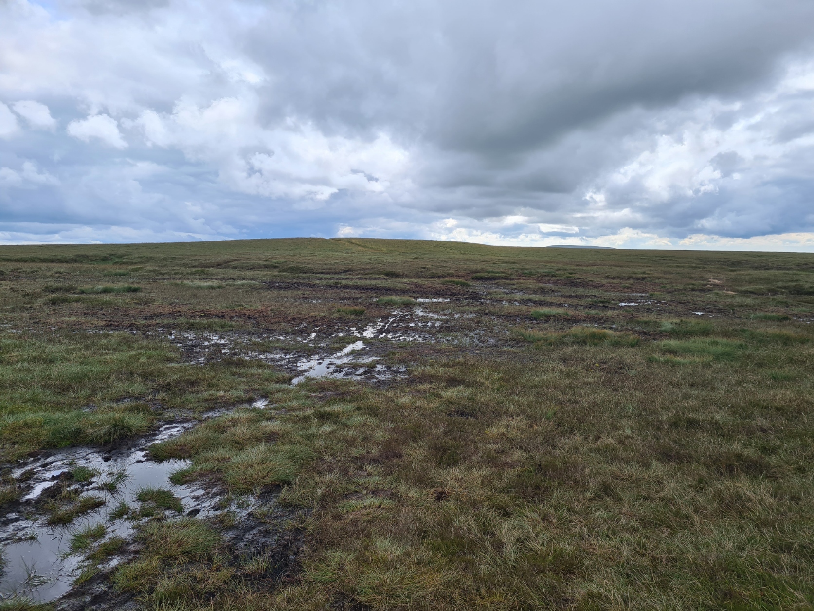 Peat bogs abound