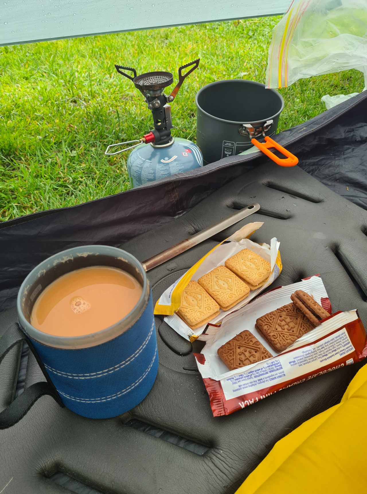 Afternoon tea and biscuits