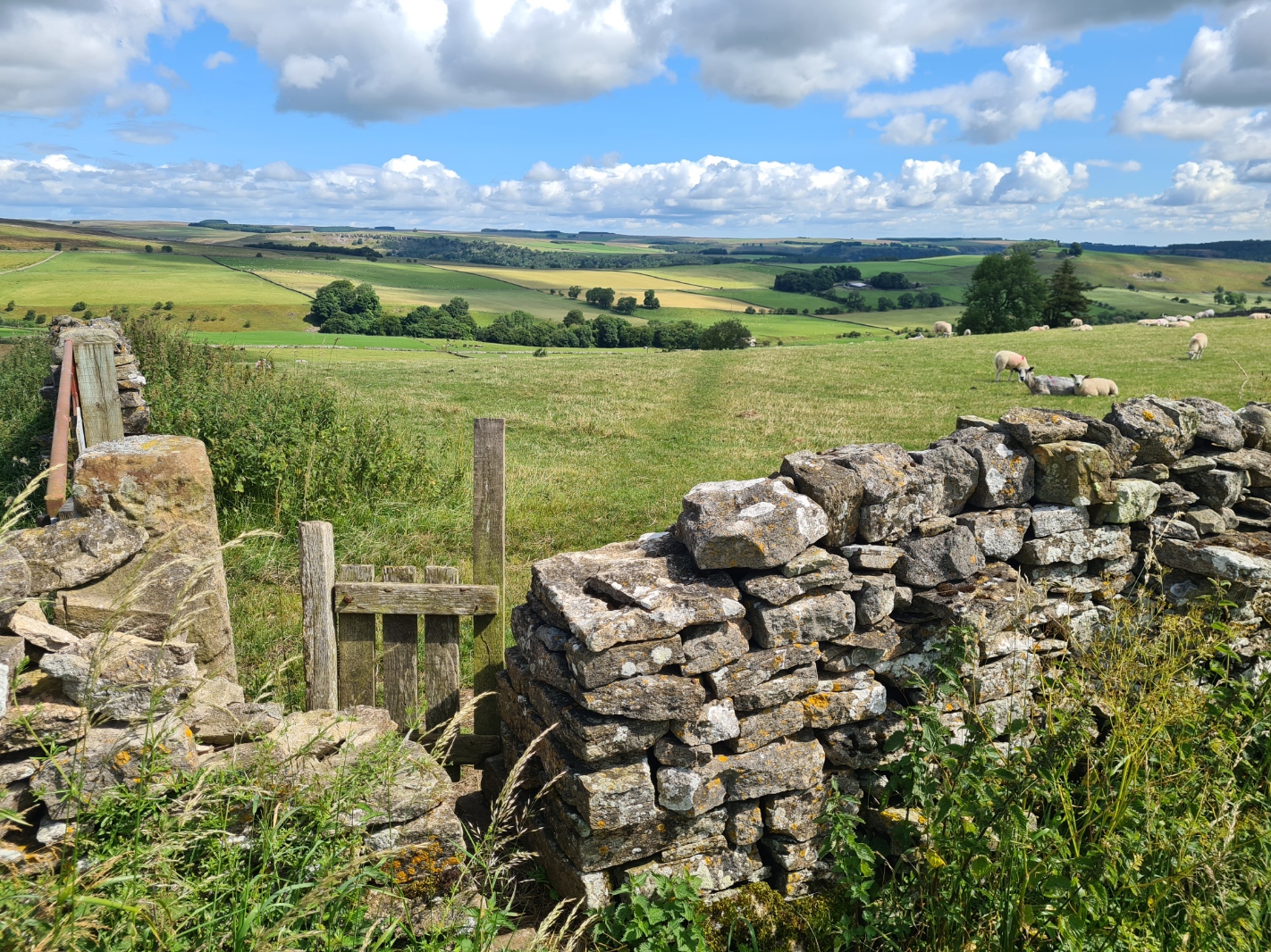 A north-easterly walk through rolling farmland