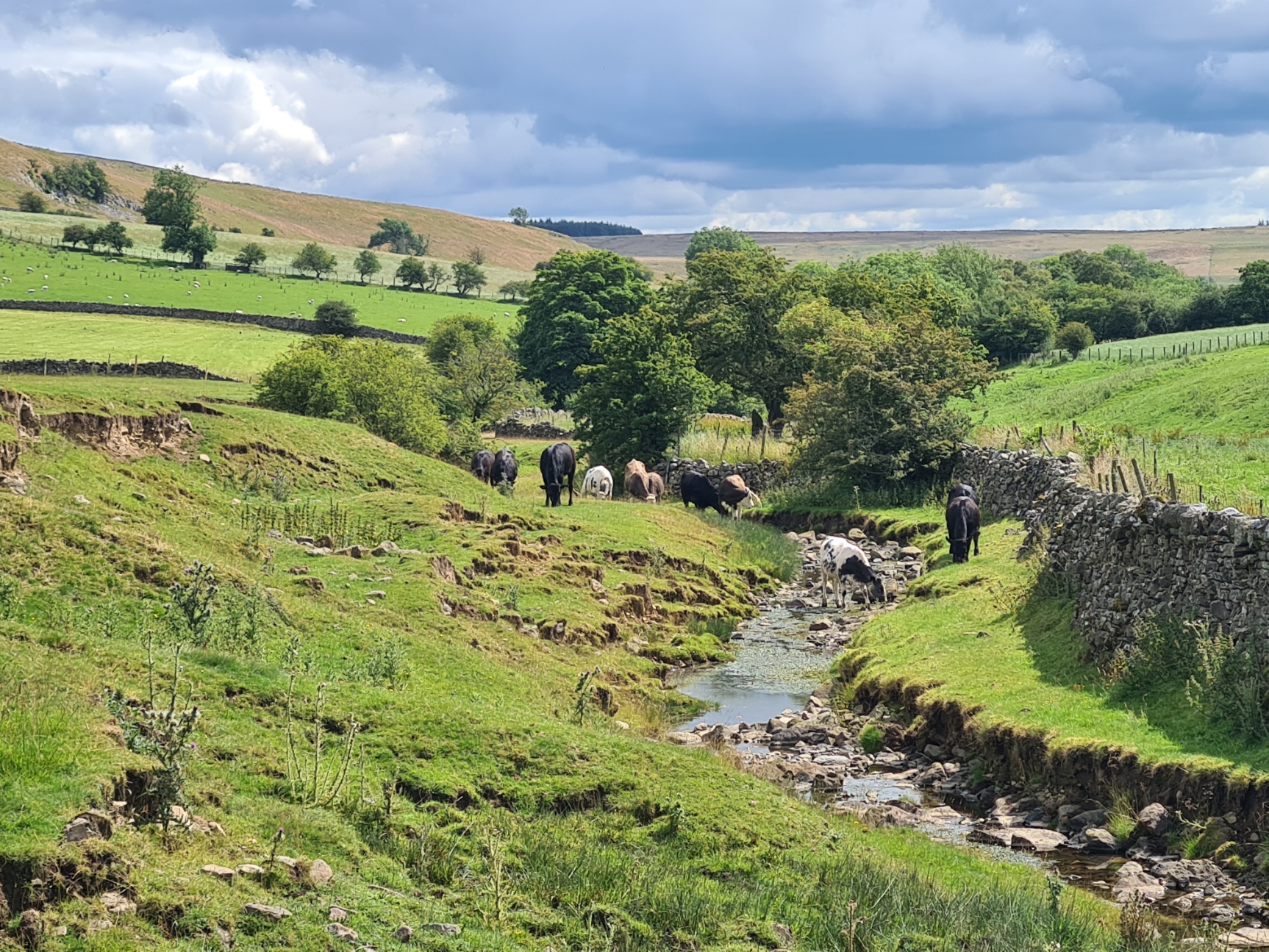 A scene that could be from almost any century