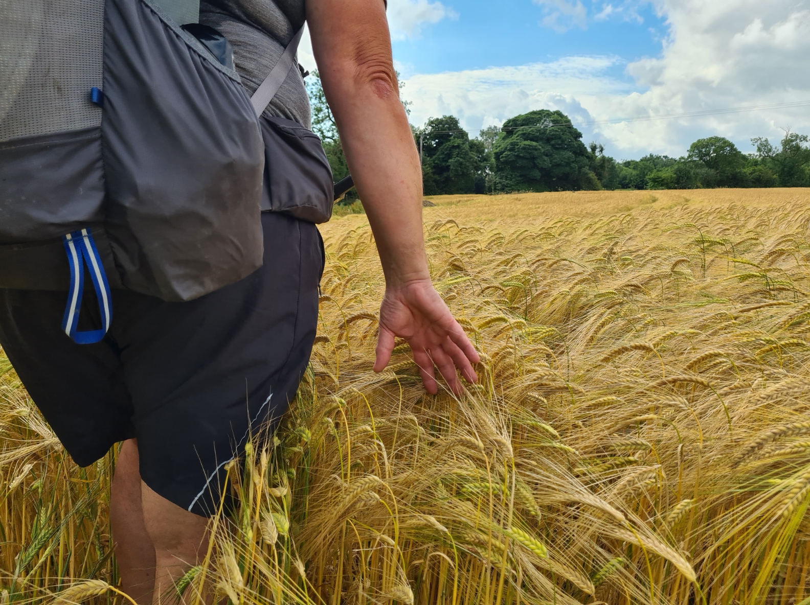 This section was primarily passing through agricultural farmland
