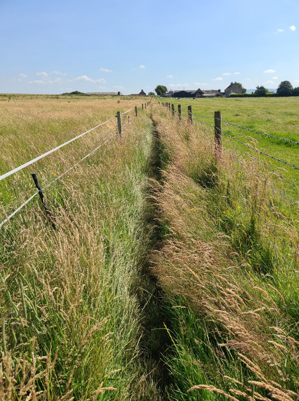 Hemmed in by electric fencing and barbed wire