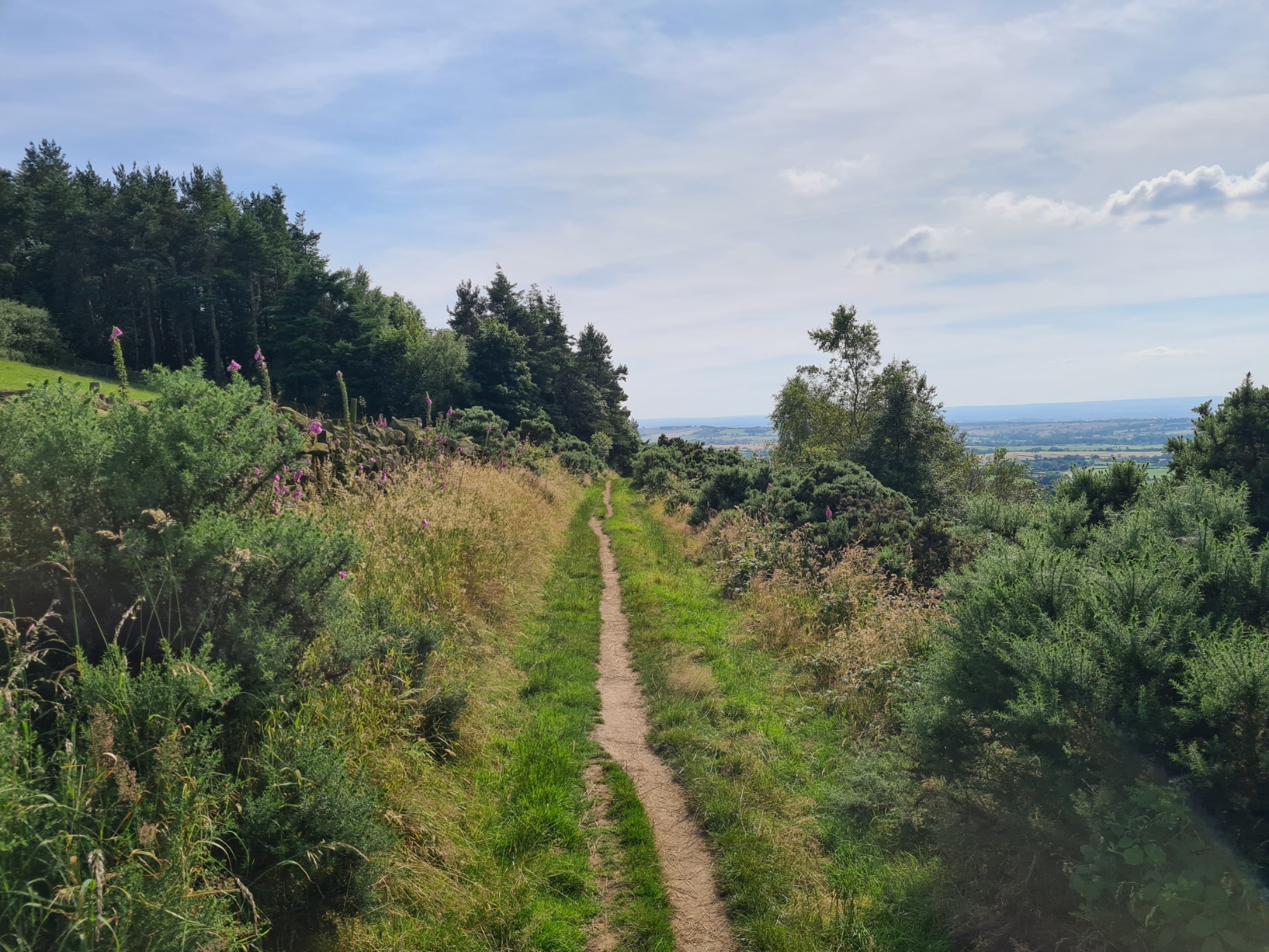 The climb up from Arncliffe Wood
