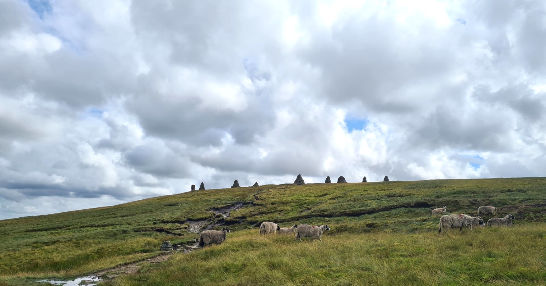 Approaching Nine Standards