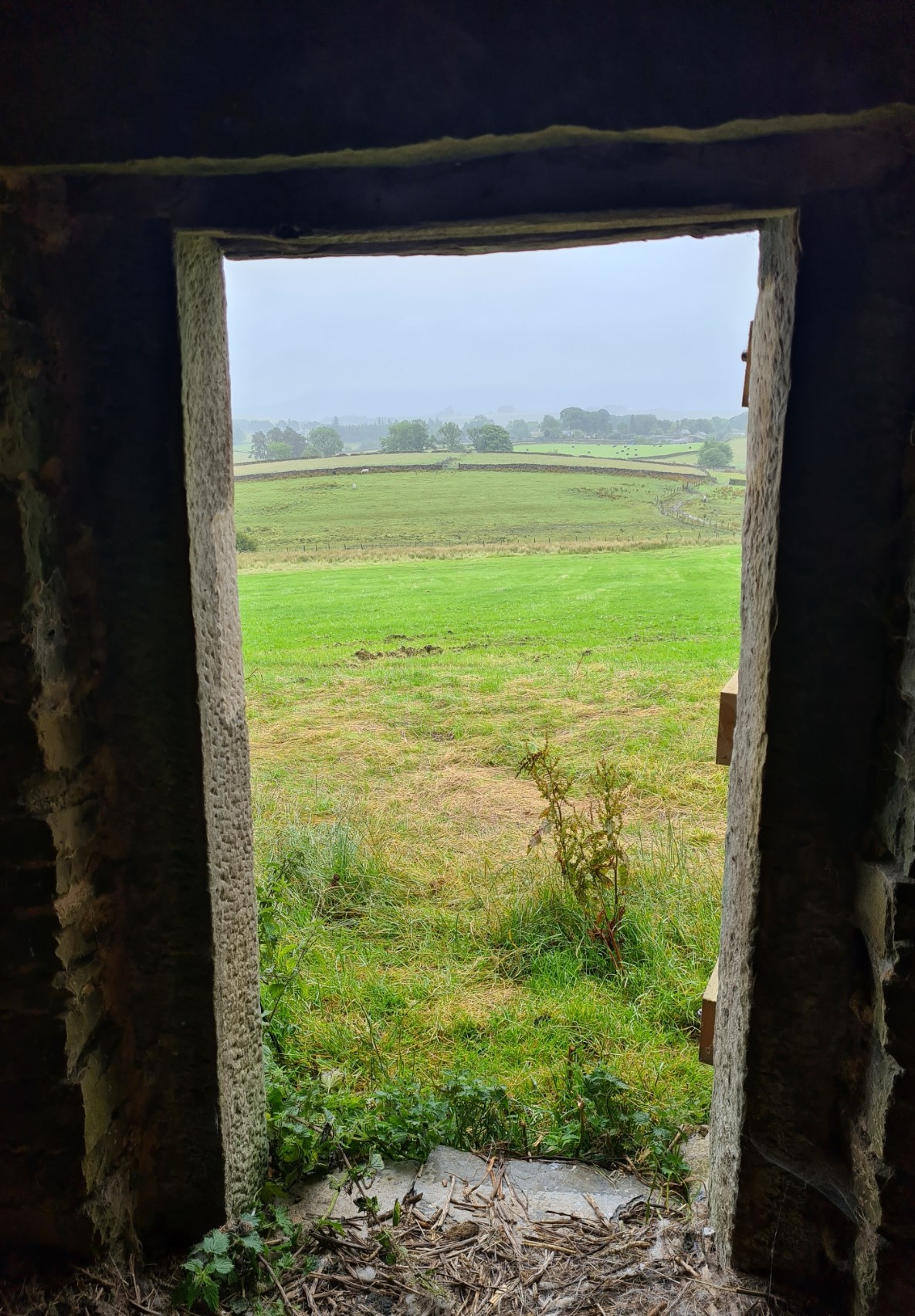 Respite from the rain