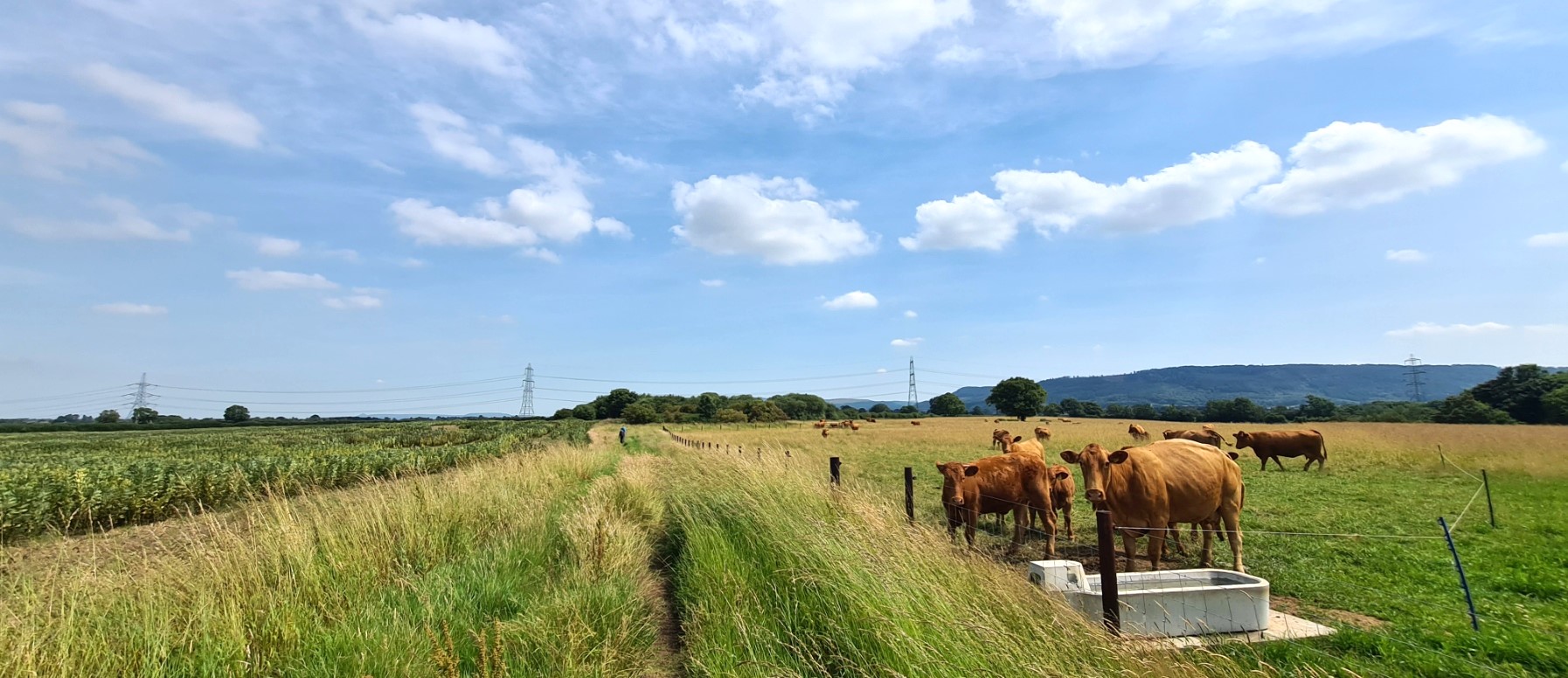 The crops and livestock of the Vale of Mowbray were now behind me