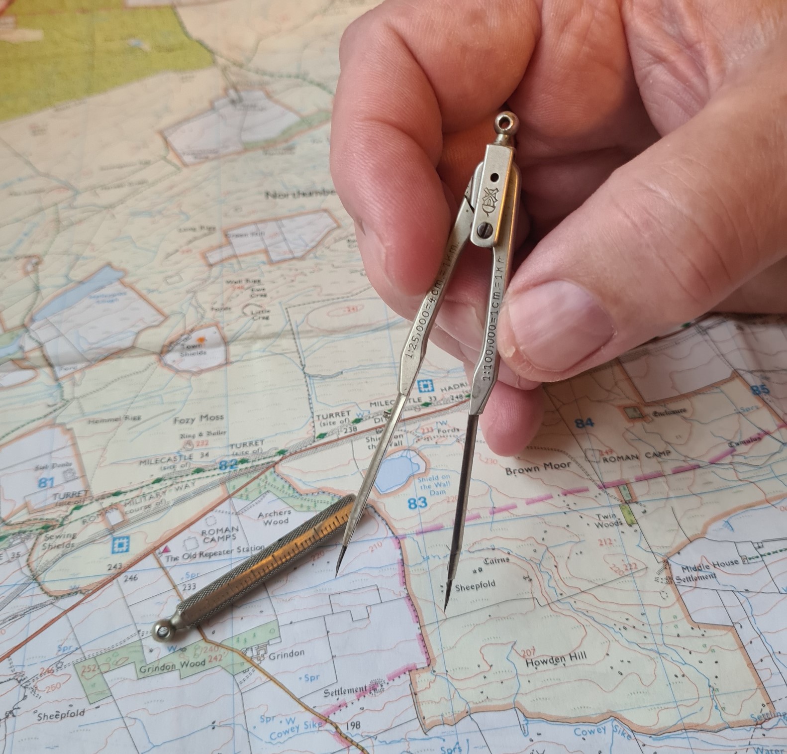 Ecobra pocket dividers