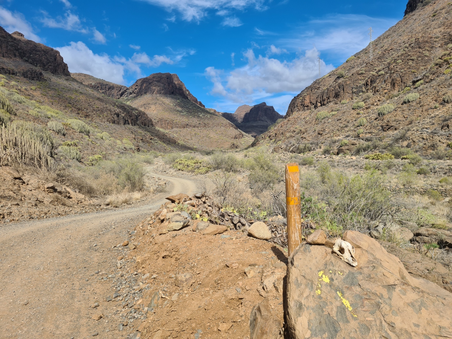 Yellow banded post passed on day one on trail