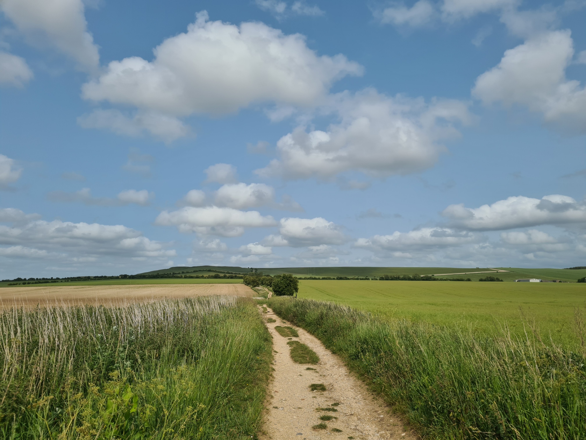 Easy dry walking toward the end of day two on trail