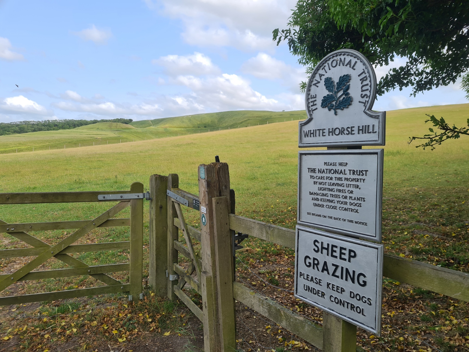 White Horse Hill with the Uffington White Horse just about visible