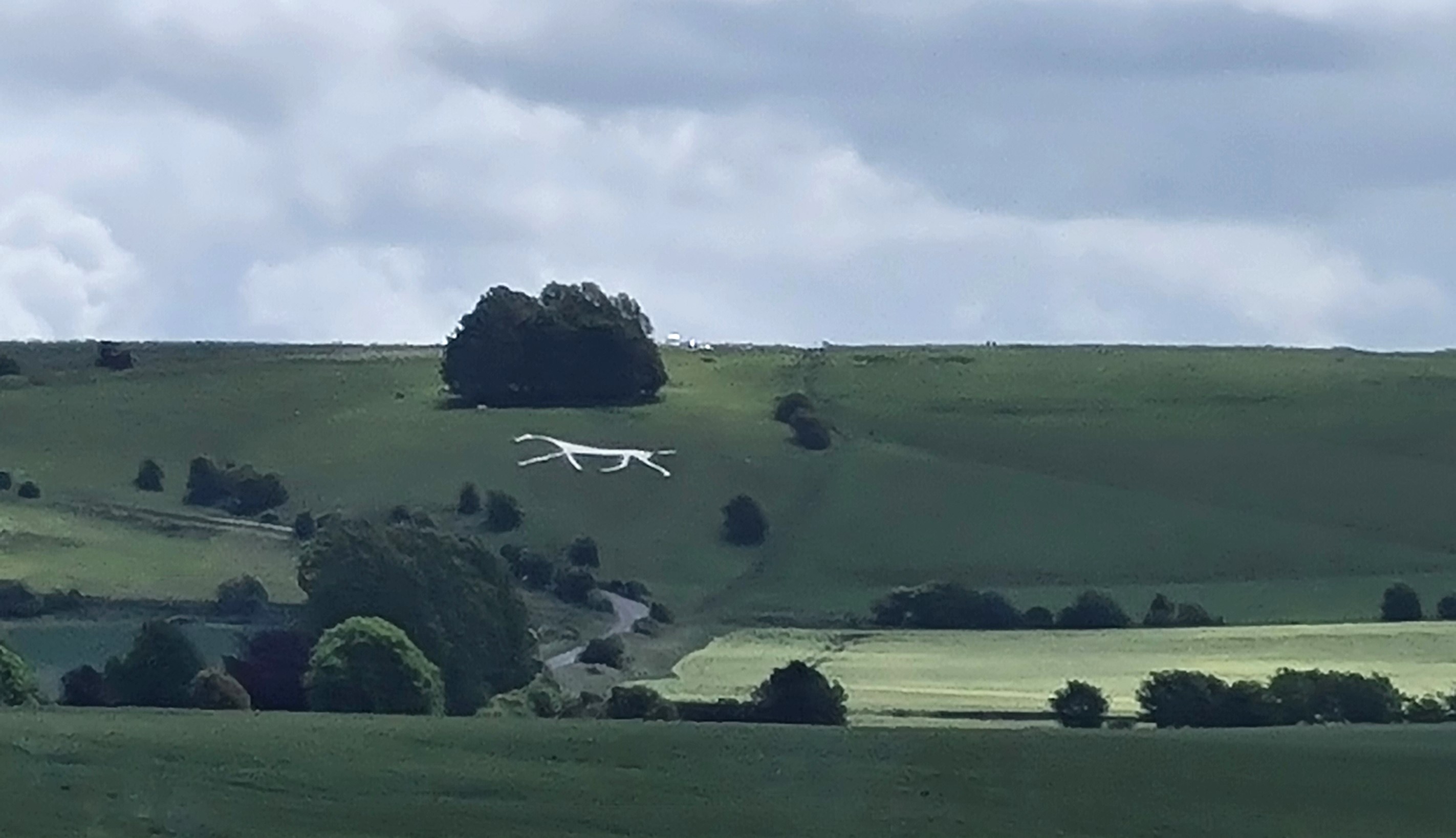 Our bus ride gave us opportunity to see the Hackpen Hill white horse. This hill figure was cut in to the chalk to commemorate the coronation of Queen Victoria in 1838.. This was the only view we would get as the Ridgeway is above it