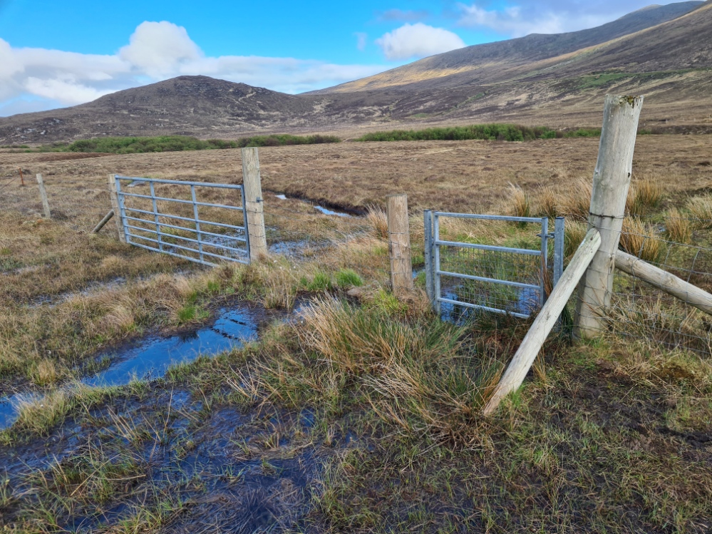 Some parts of the trail were very wet