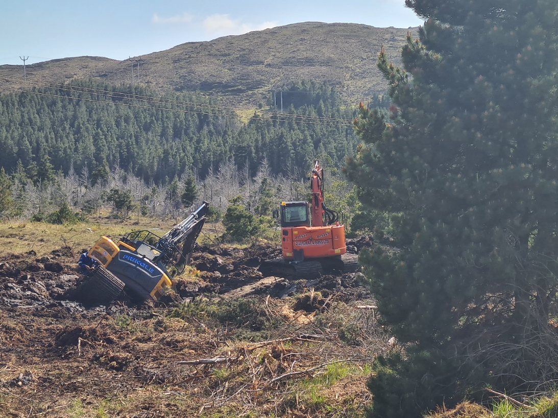 Oy, you can't park there!