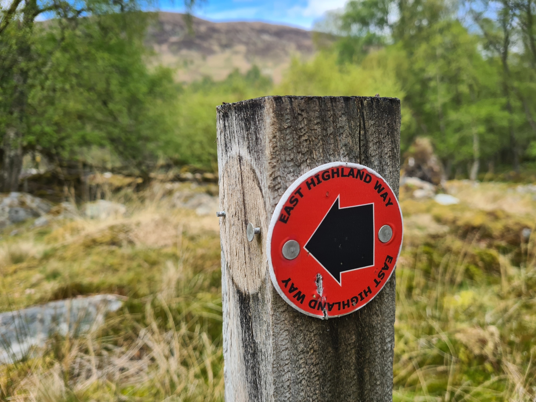 One of the few East Highland Way waymarkers