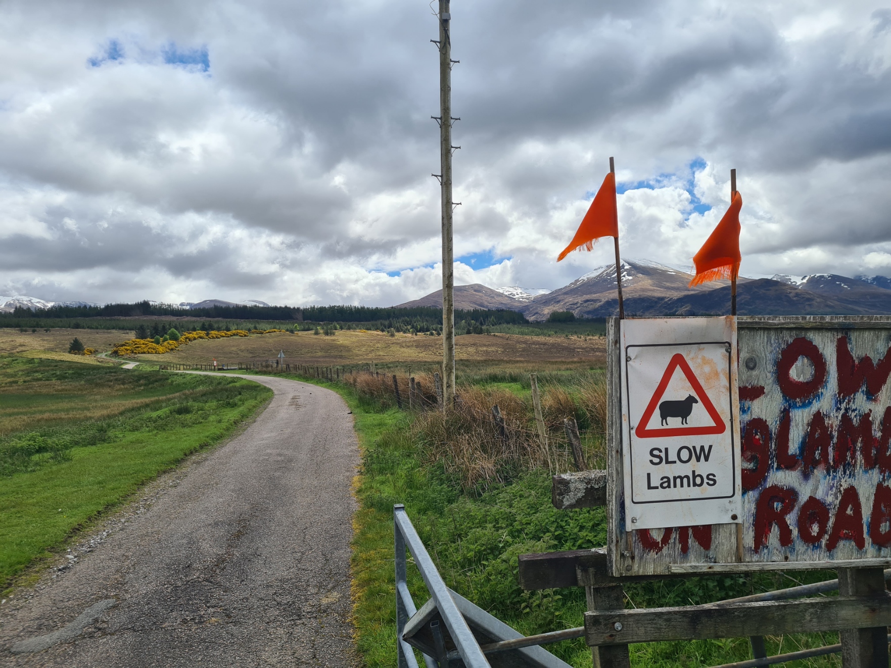 Approaching Leanachan Forest