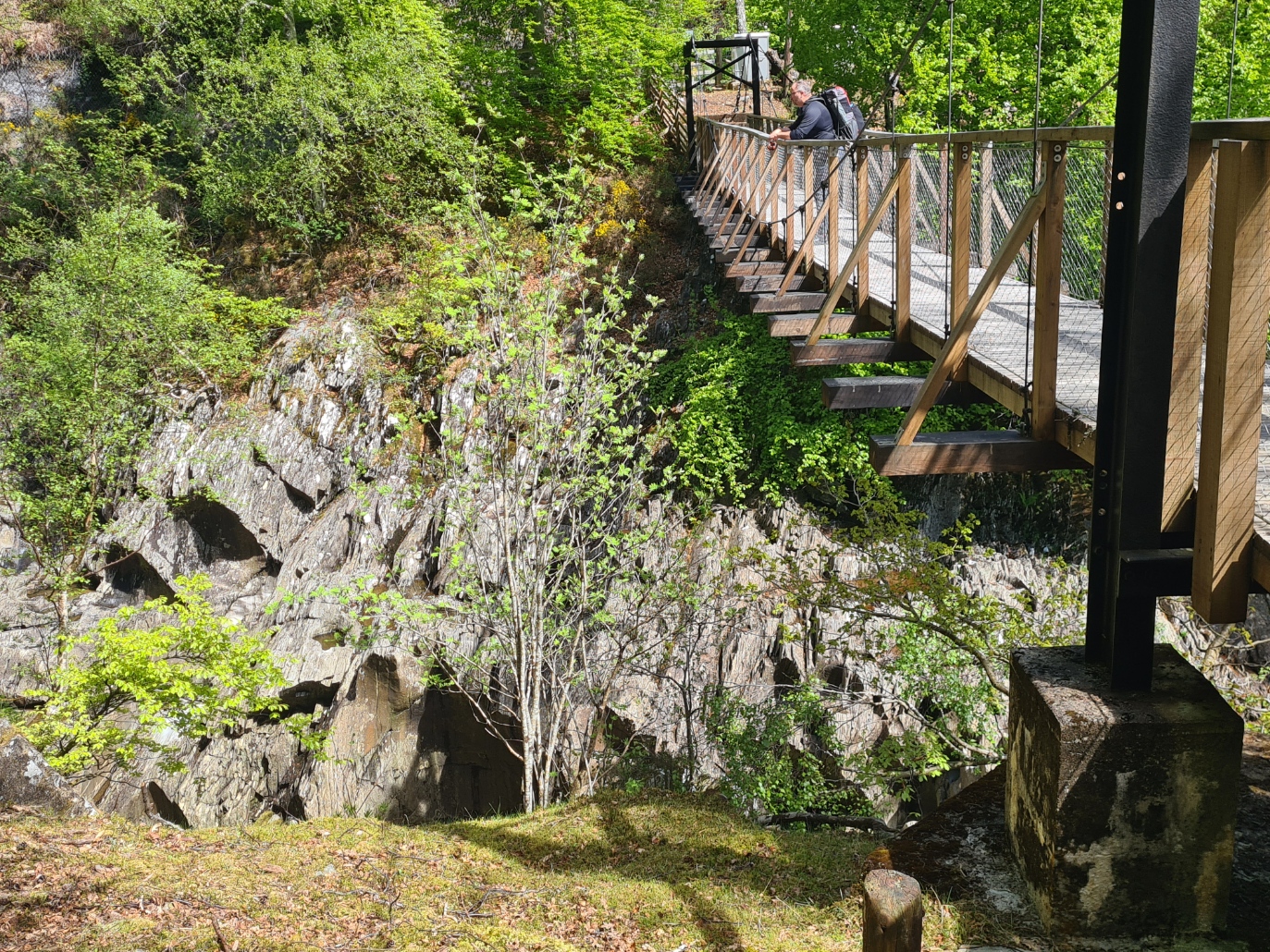 Monessie suspension bridge