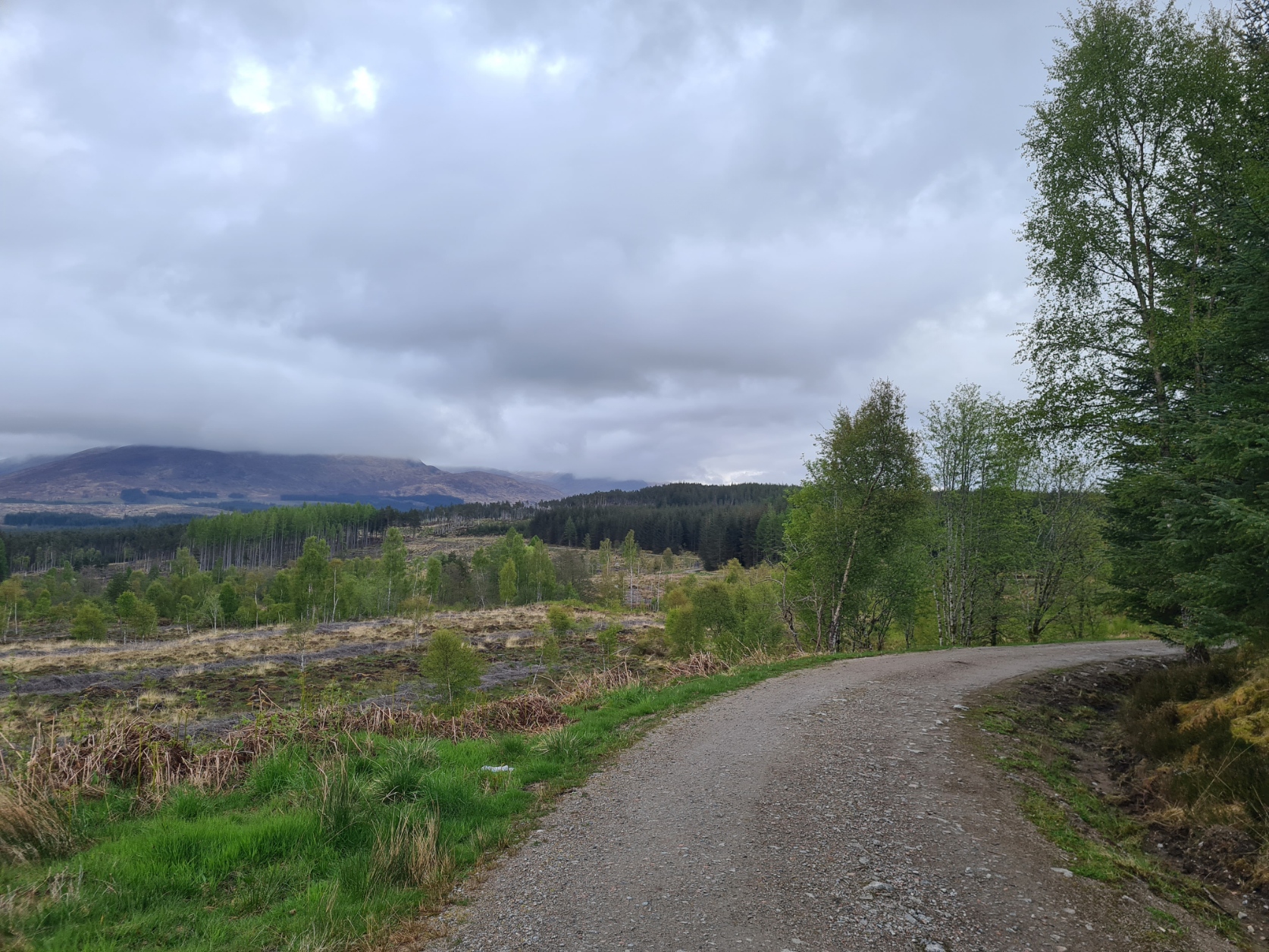 Firm underfoot and no traffic, simples