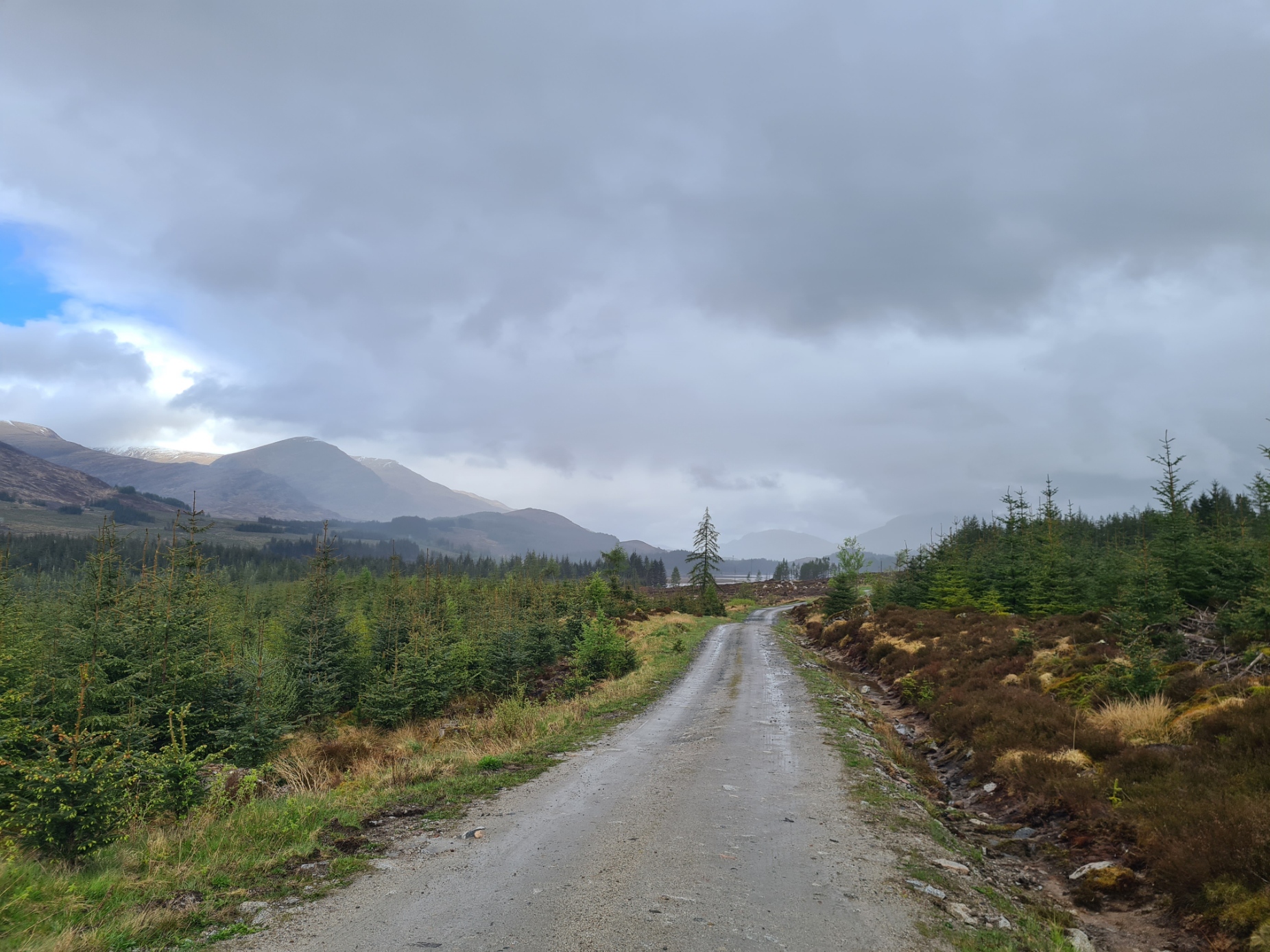 The East Highland Way is exceptionally quiet trail and many miles can be walked without seeing a soul
