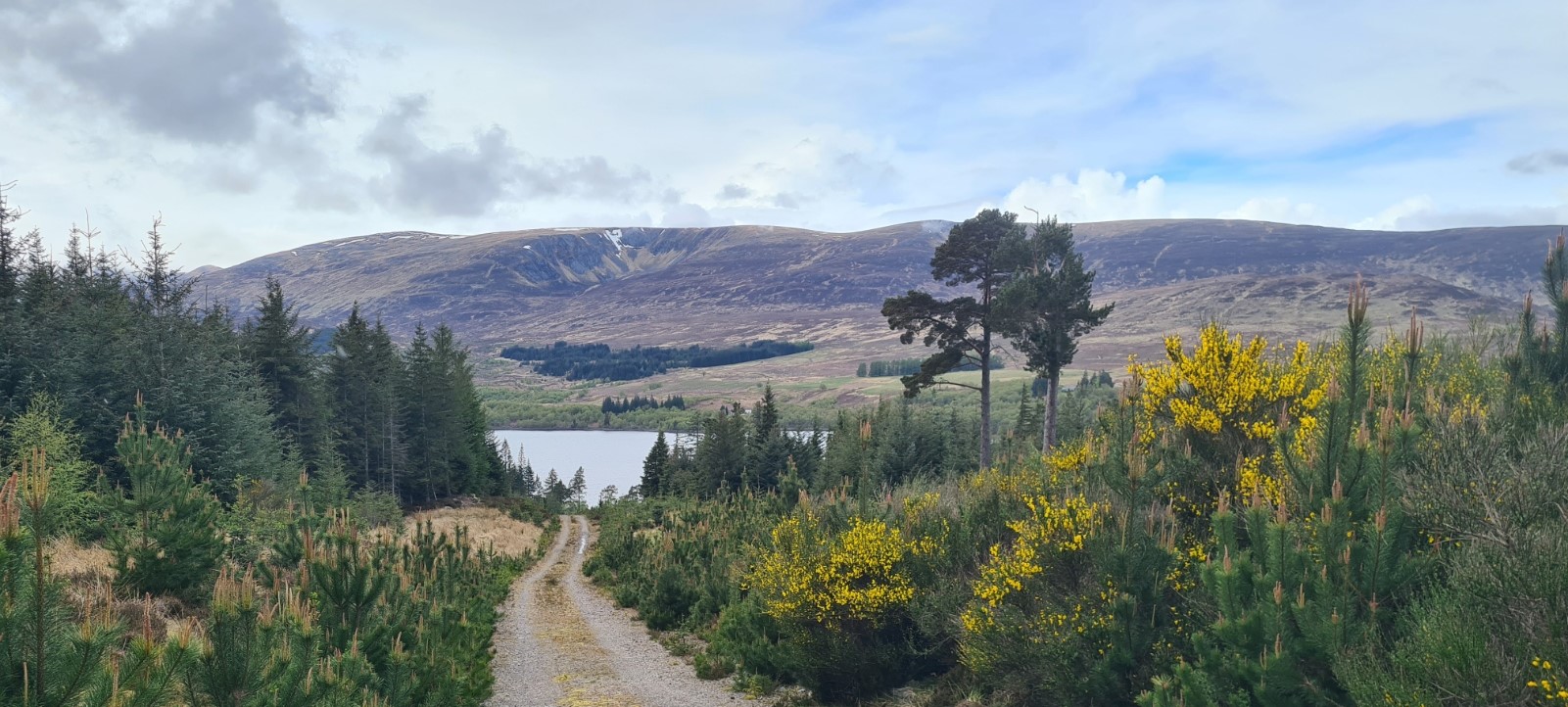 Descending to Loch Laggan